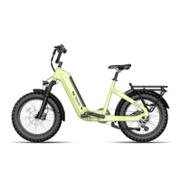 TENVELS Flexo E1 Fat Tire ebike