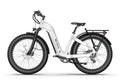 TENVELS Tumbo & Plezo Fat Tire ebike