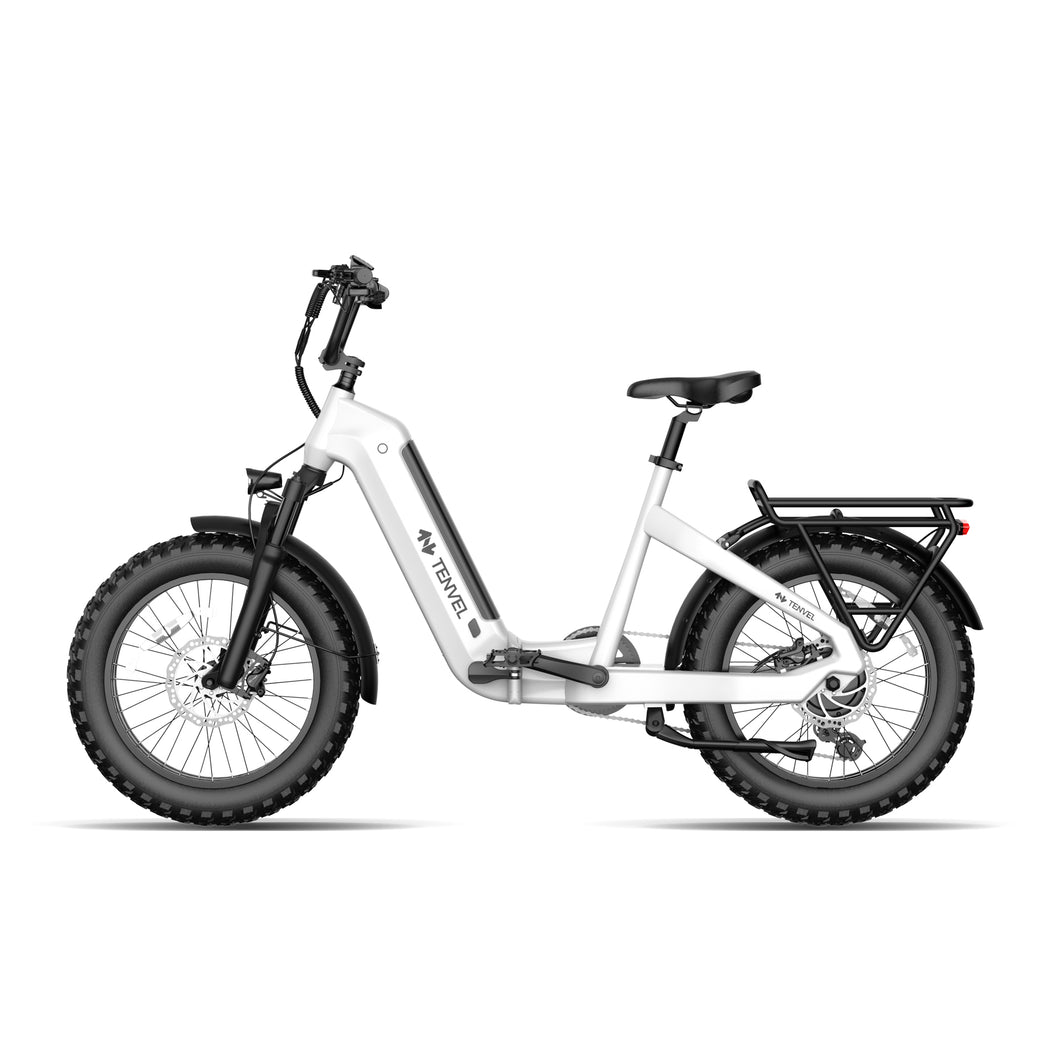 TENVELS Flexo E1 Fat Tire ebike