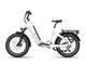 TENVELS Flexo E1 Fat Tire ebike