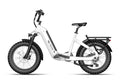 TENVELS Flexo E1 Fat Tire ebike
