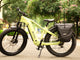 TENVELS Tumbo & Plezo Fat Tire ebike