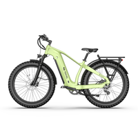 TENVELS Tumbo & Plezo Fat Tire ebike