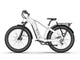 TENVELS Tumbo & Plezo Fat Tire ebike
