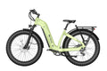 TENVELS Tumbo & Plezo Fat Tire ebike