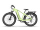 TENVELS Tumbo & Plezo Fat Tire ebike