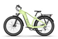 TENVELS Tumbo & Plezo Fat Tire ebike