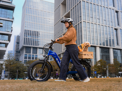 Is a Fat Tire Ebike Good for Daily Use?