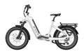 TENVELS Flexo E1 Fat Tire ebike