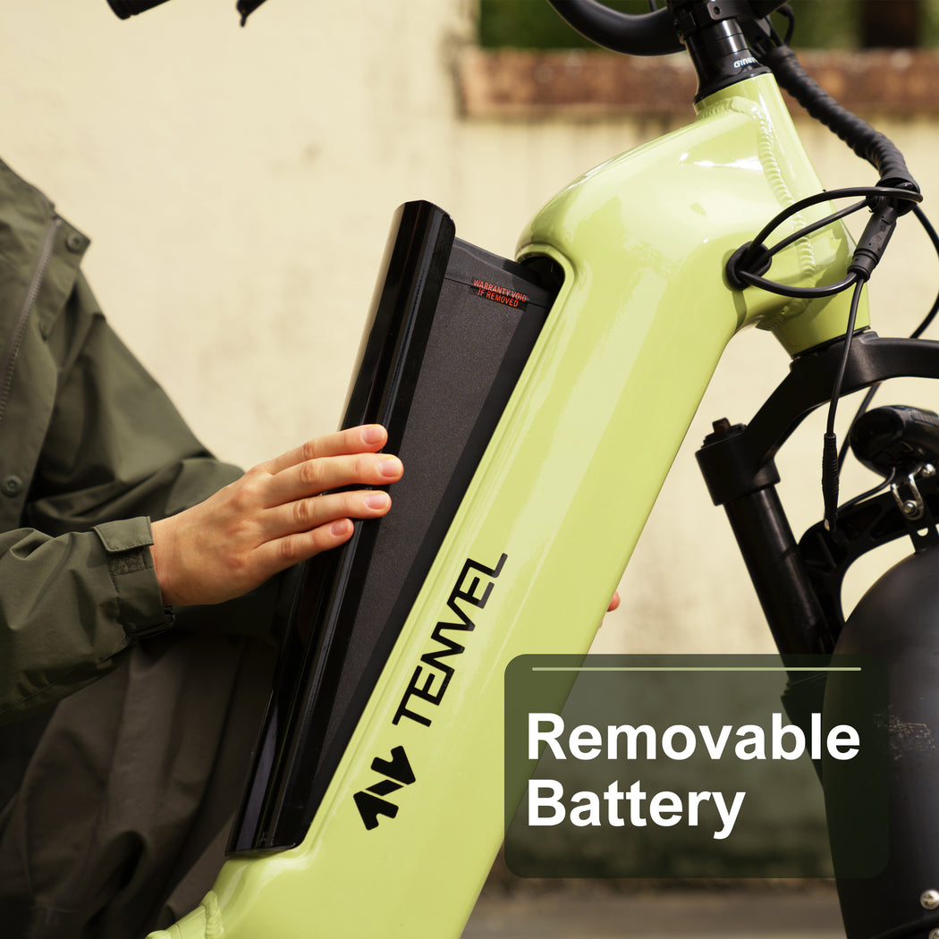 TENVELS Flexo E1 Fat Tire ebike