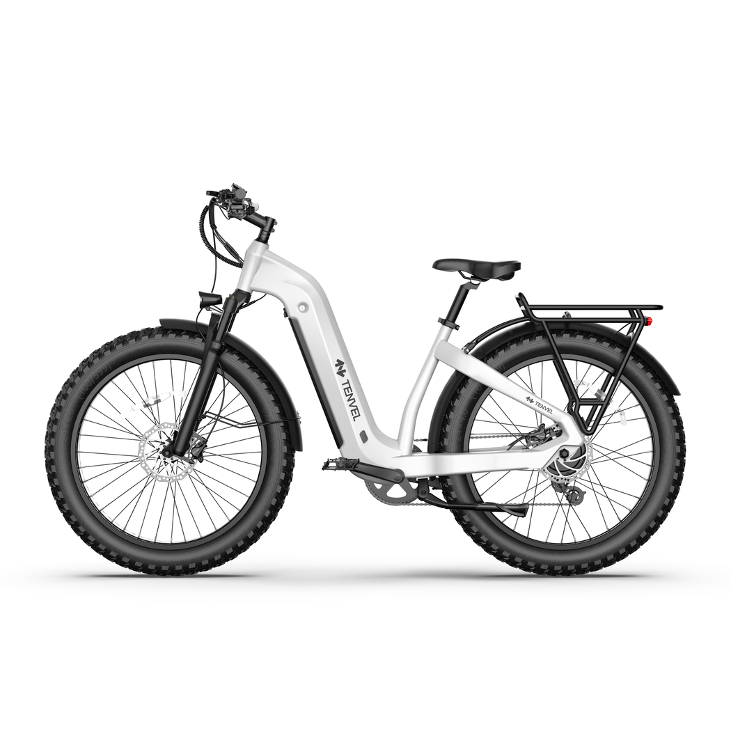 TENVELS Tumbo & Plezo Fat Tire ebike
