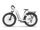 TENVELS Tumbo & Plezo Fat Tire ebike