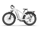TENVELS Tumbo & Plezo Fat Tire ebike